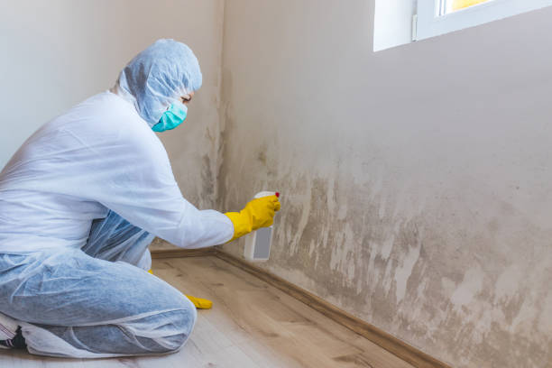 Licensed Mold Remediation service in Florham Park, NJ - 24 Hour Mold Removal
