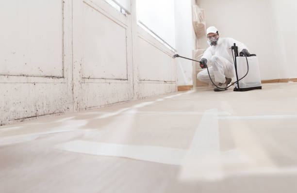 24/7 Emergency Mold Remediation experts in Florham Park, NJ