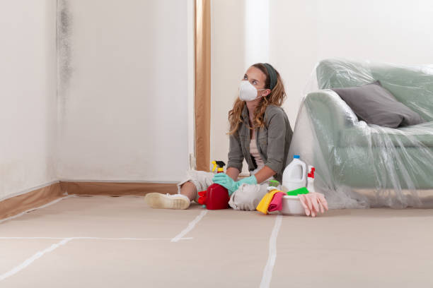 Reliable Mold Remediation contractor in Florham Park, NJ by 24 Hour Mold Removal